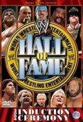 WWE Зал славы 2004 (2004) постер
