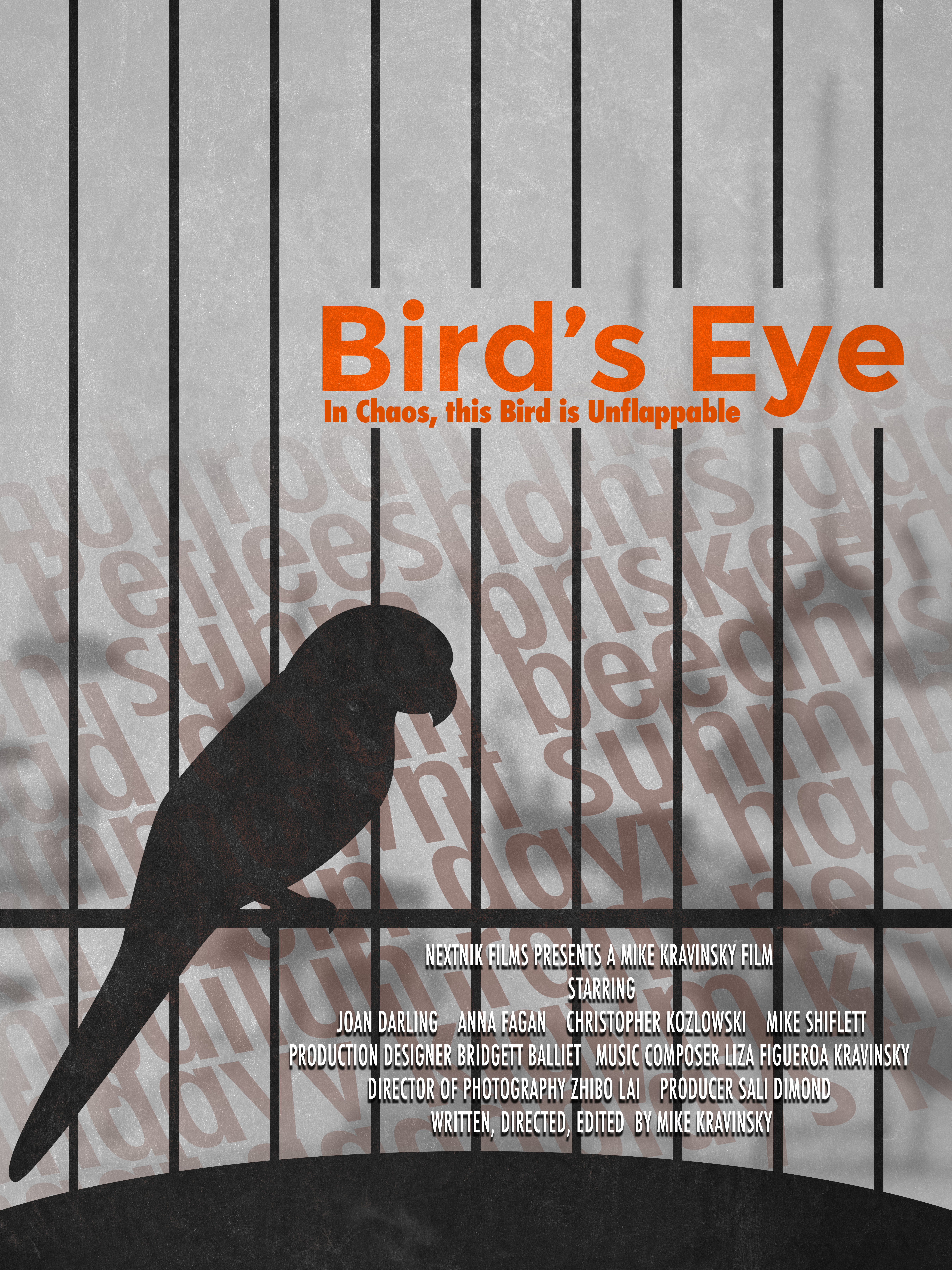 Bird's Eye (2020) постер