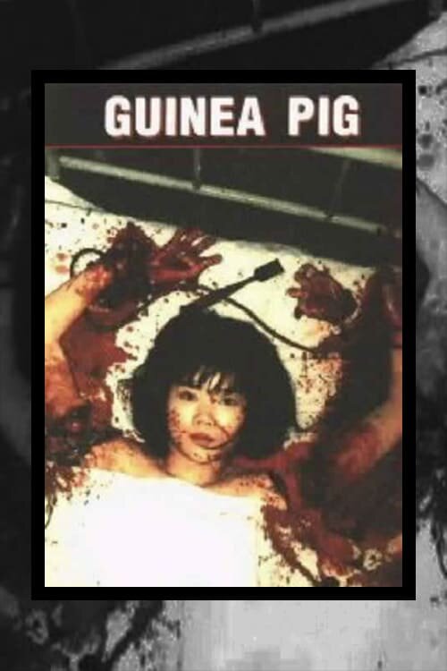 Подопытная свинка: Спецрезня (1988) постер