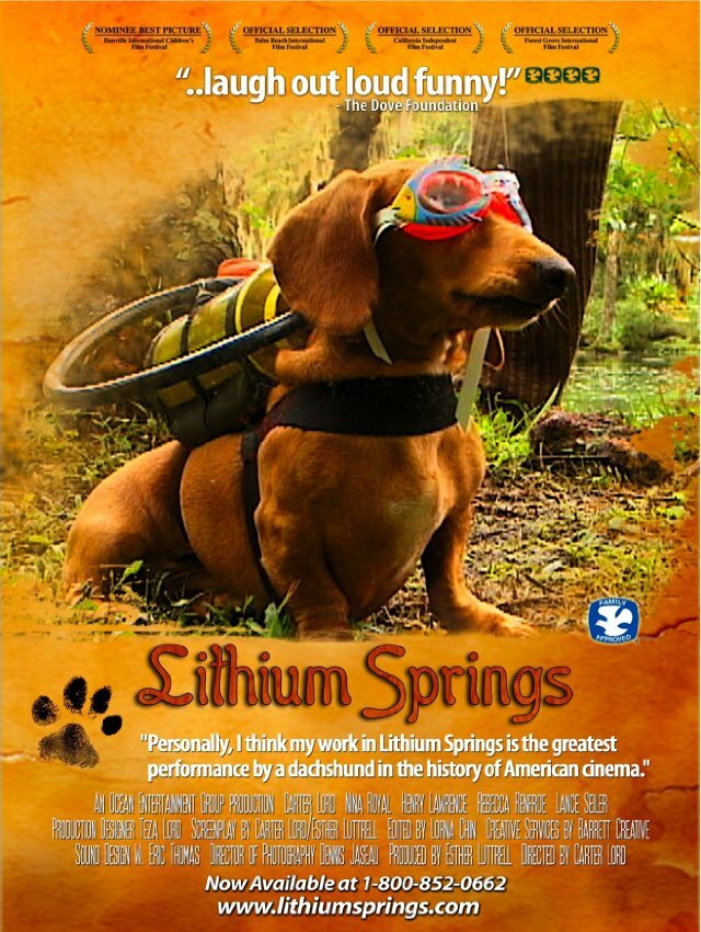 Lithium Springs (2004) постер