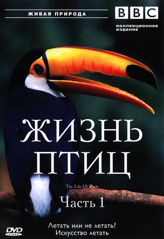 BBC: Жизнь птиц (1998) постер