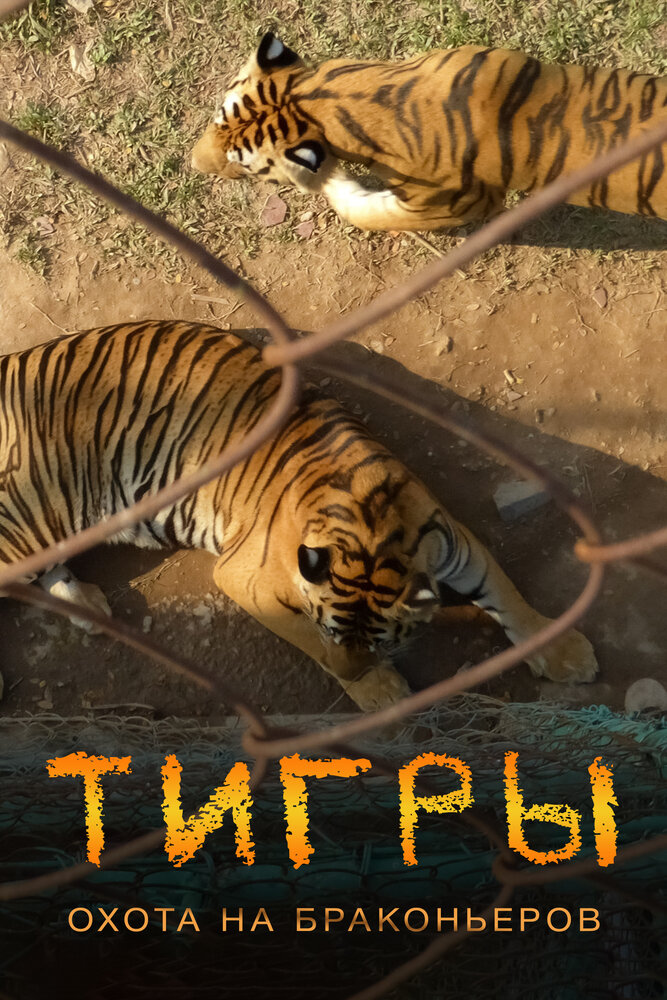Тигры: Охота на браконьеров (2020) постер