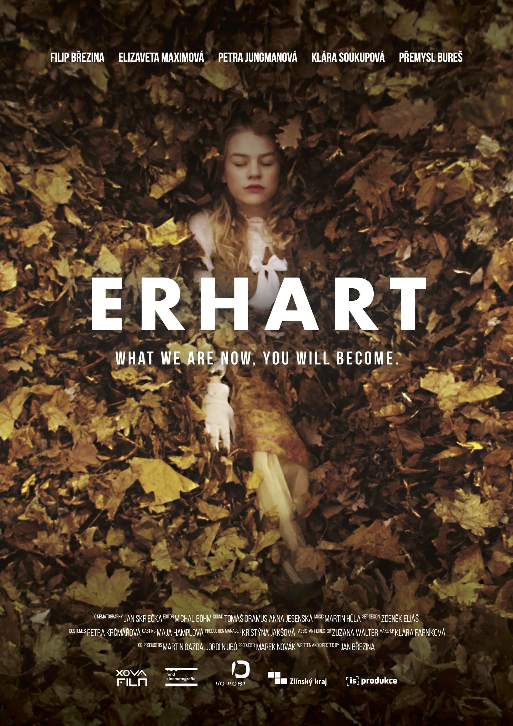 Erhart постер
