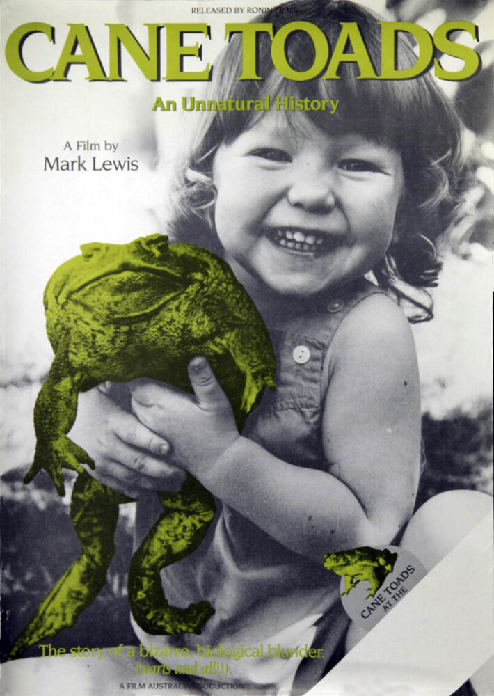 Тростниковые жабы (1988) постер