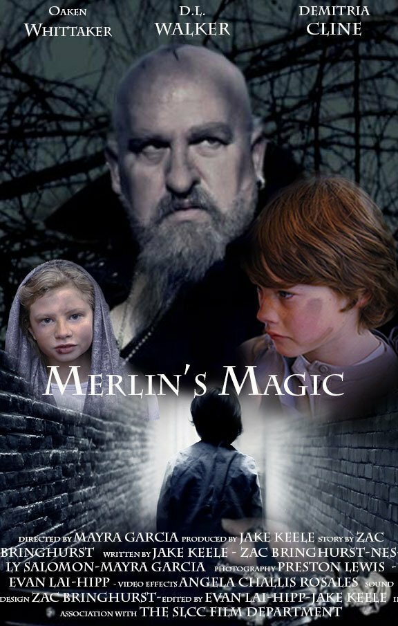 Merlin's Magic (2013) постер