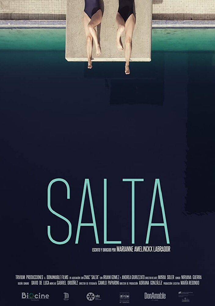 Salta (2017) постер