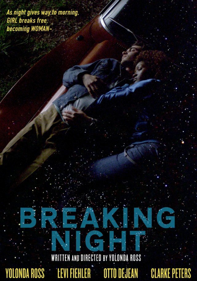 Breaking Night (2012) постер