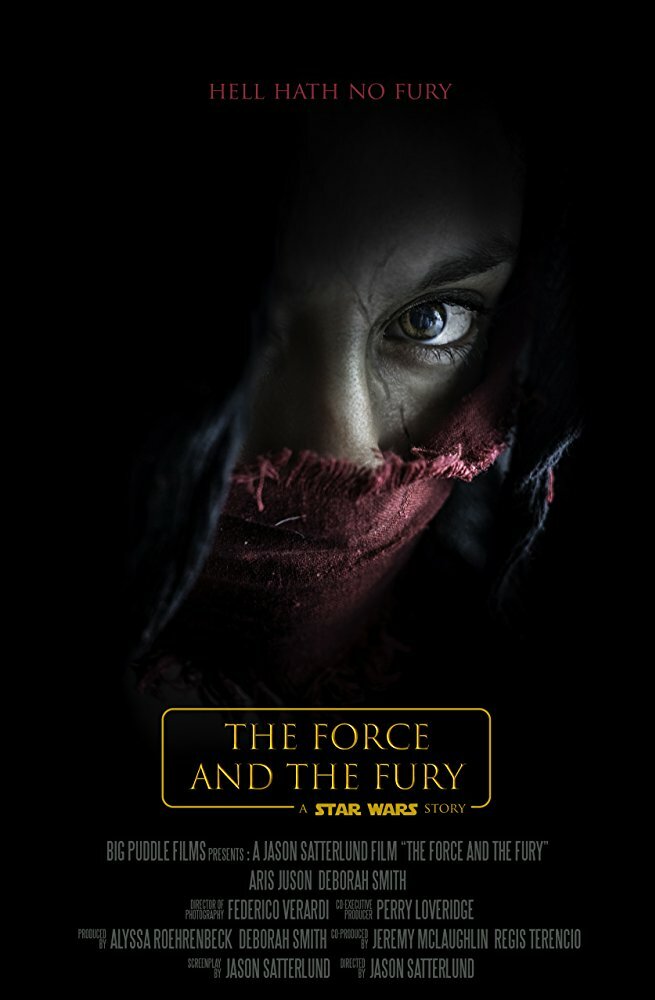 Звёздные войны: Сила и ярость (2017) постер