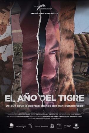 Год тигра (2011) постер