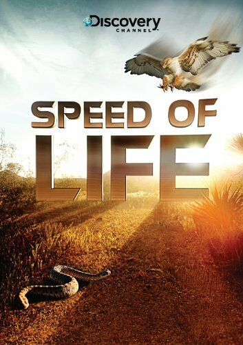 Discovery: Скорость жизни (2010) постер