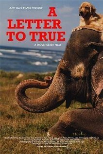 A Letter to True (2004) постер