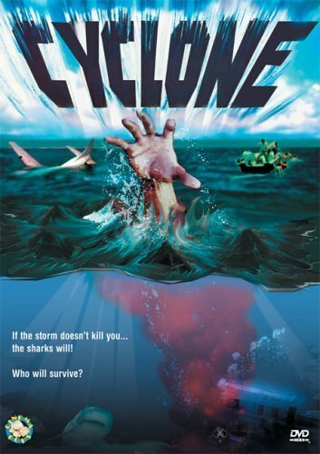 Cyclone (2004) постер