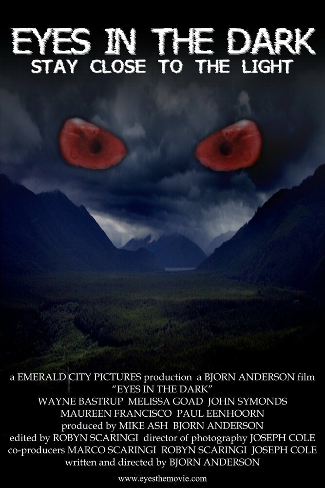 Eyes in the Dark (2010) постер