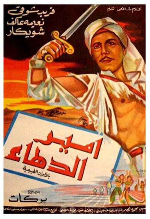 Амир Даха (1964) постер