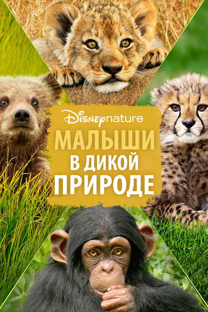 Малыши в дикой природе (2016) постер