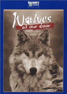 Discovery: Волки (1997) постер