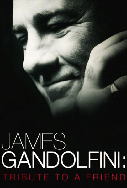 James Gandolfini: Tribute to a Friend (2013) постер