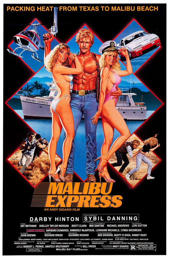 Малибу-экспресс (1985) постер