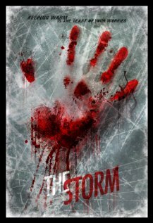 The Storm (2013) постер