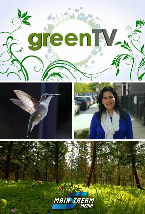 Green TV (2015) постер