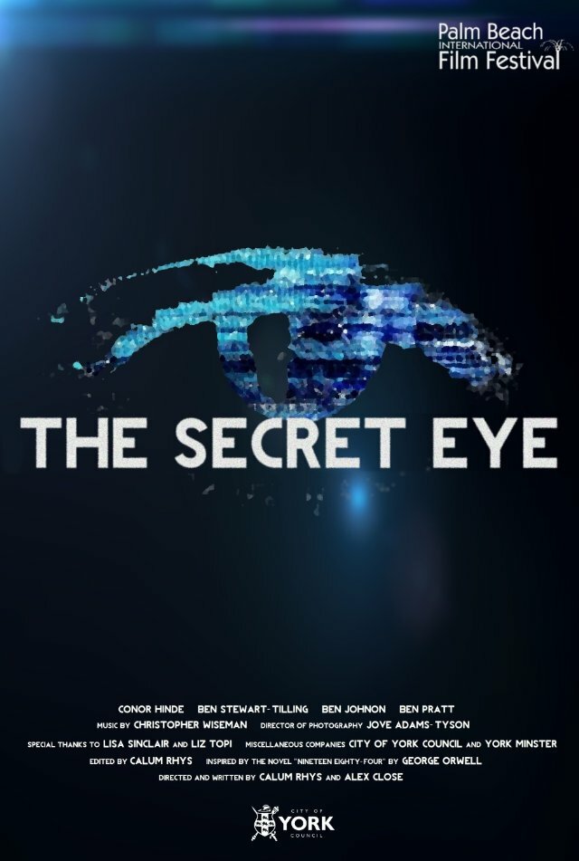 The Secret Eye (2013) постер