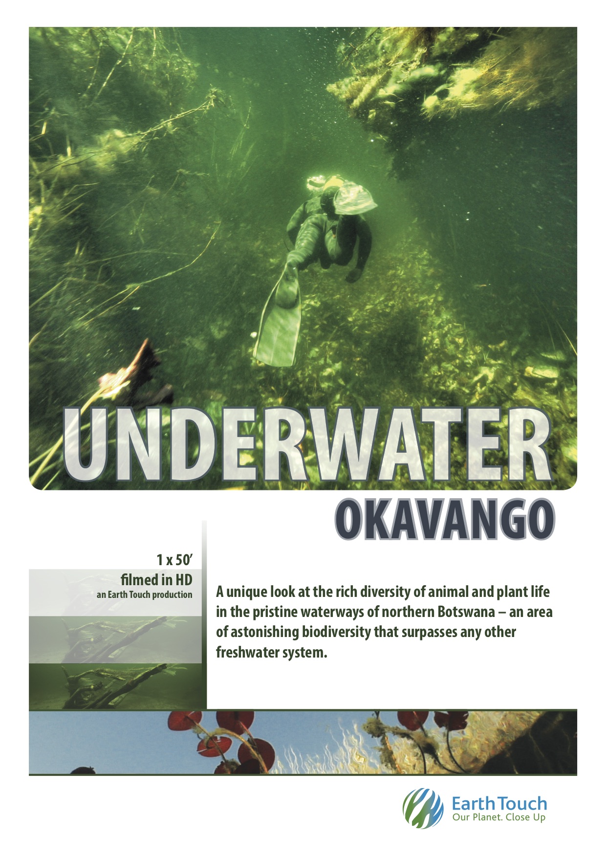 Underwater Okavango (2012) постер
