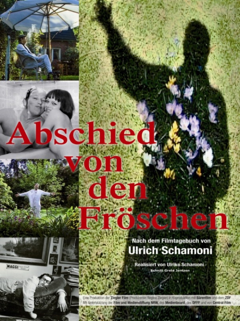 Abschied von den Fröschen (2011) постер