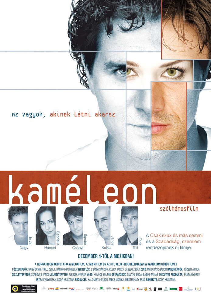 Хамелеон (2008) постер