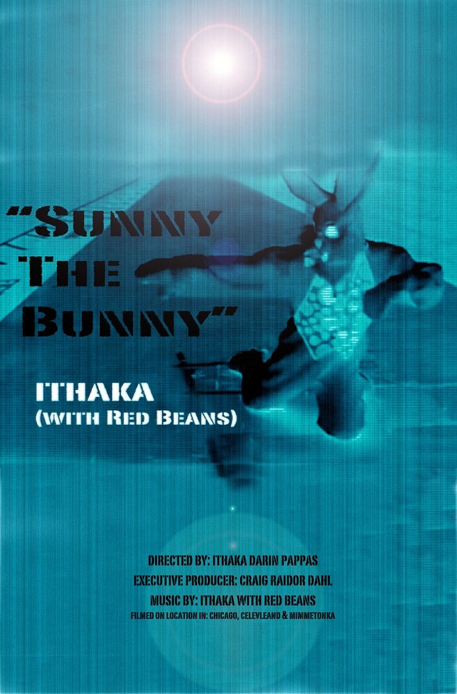 Sunny the Bunny (2017) постер