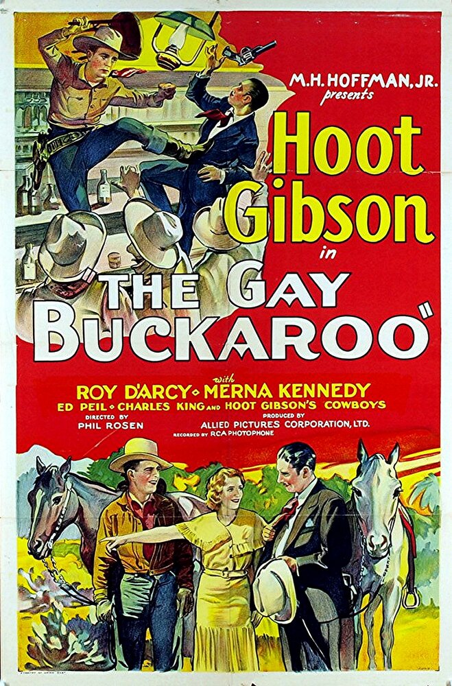 The Gay Buckaroo (1931) постер